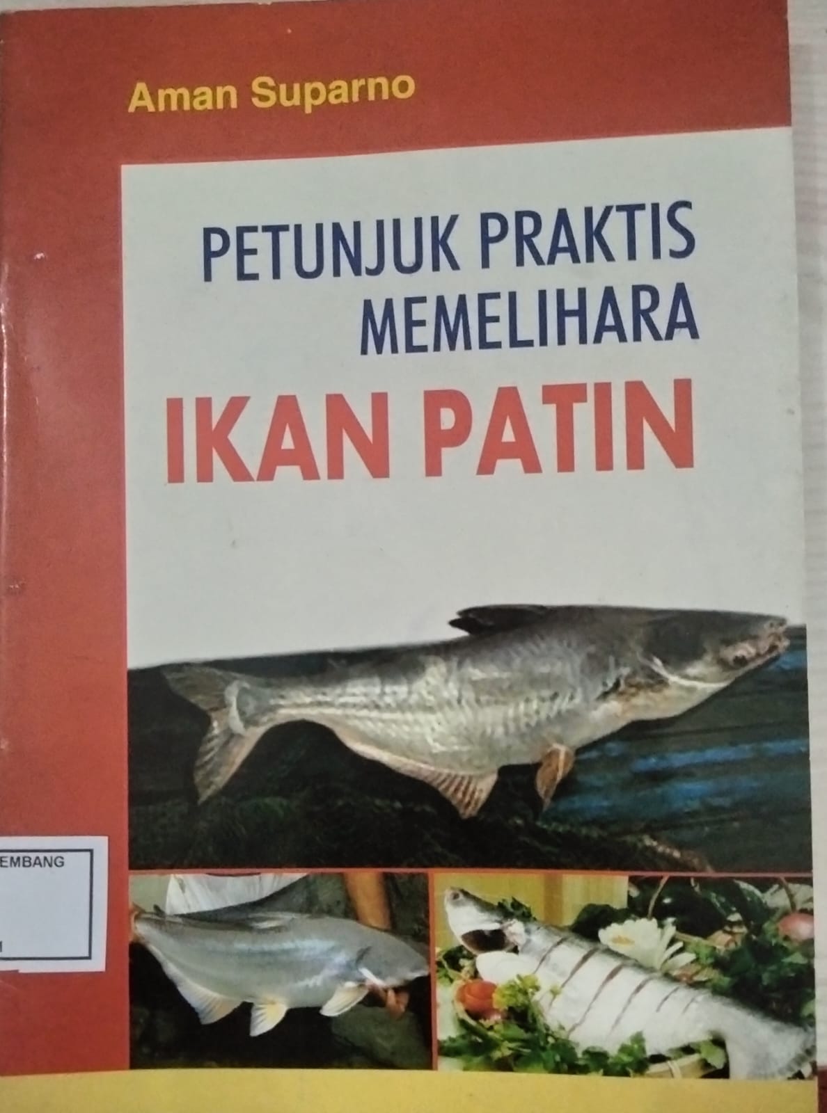 Petunjuk Praktis Memelihara Ikan Patin